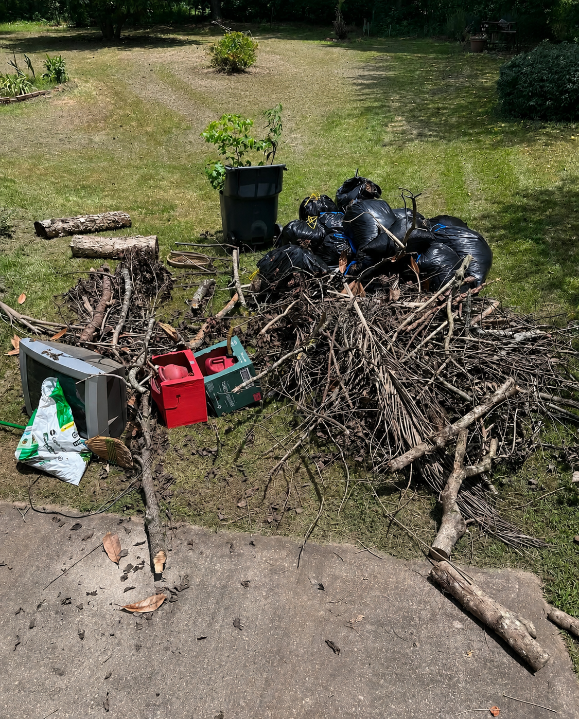 Backyard Debris Cleanup before